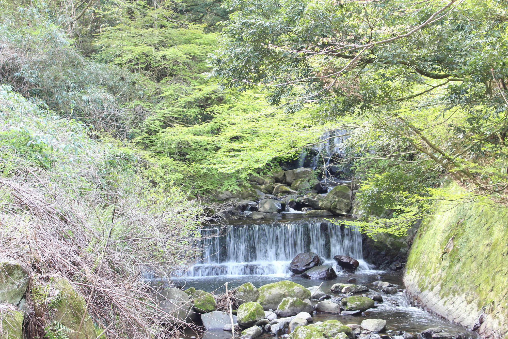 Hakone Guesthouse Toi Exterior photo
